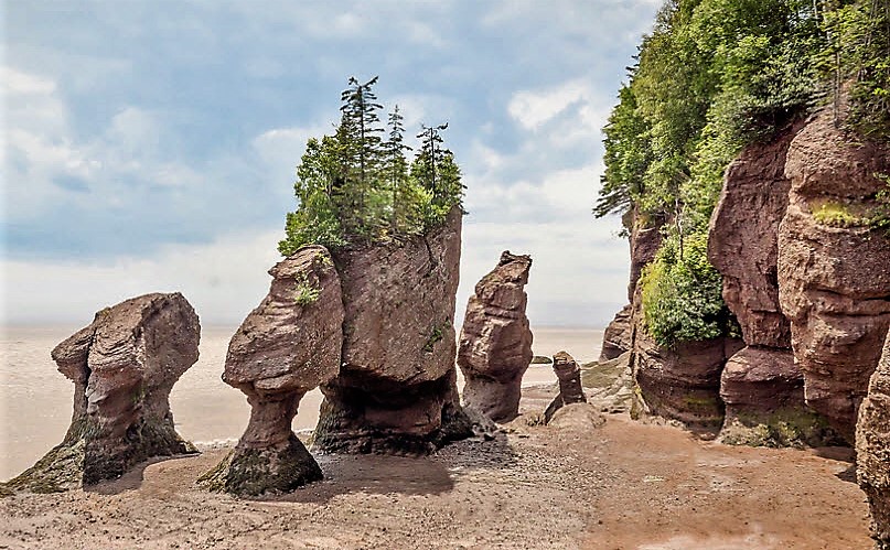 Dare to Walk in the Seabed with World’s Highest Tides – Hopewell Rocks ...